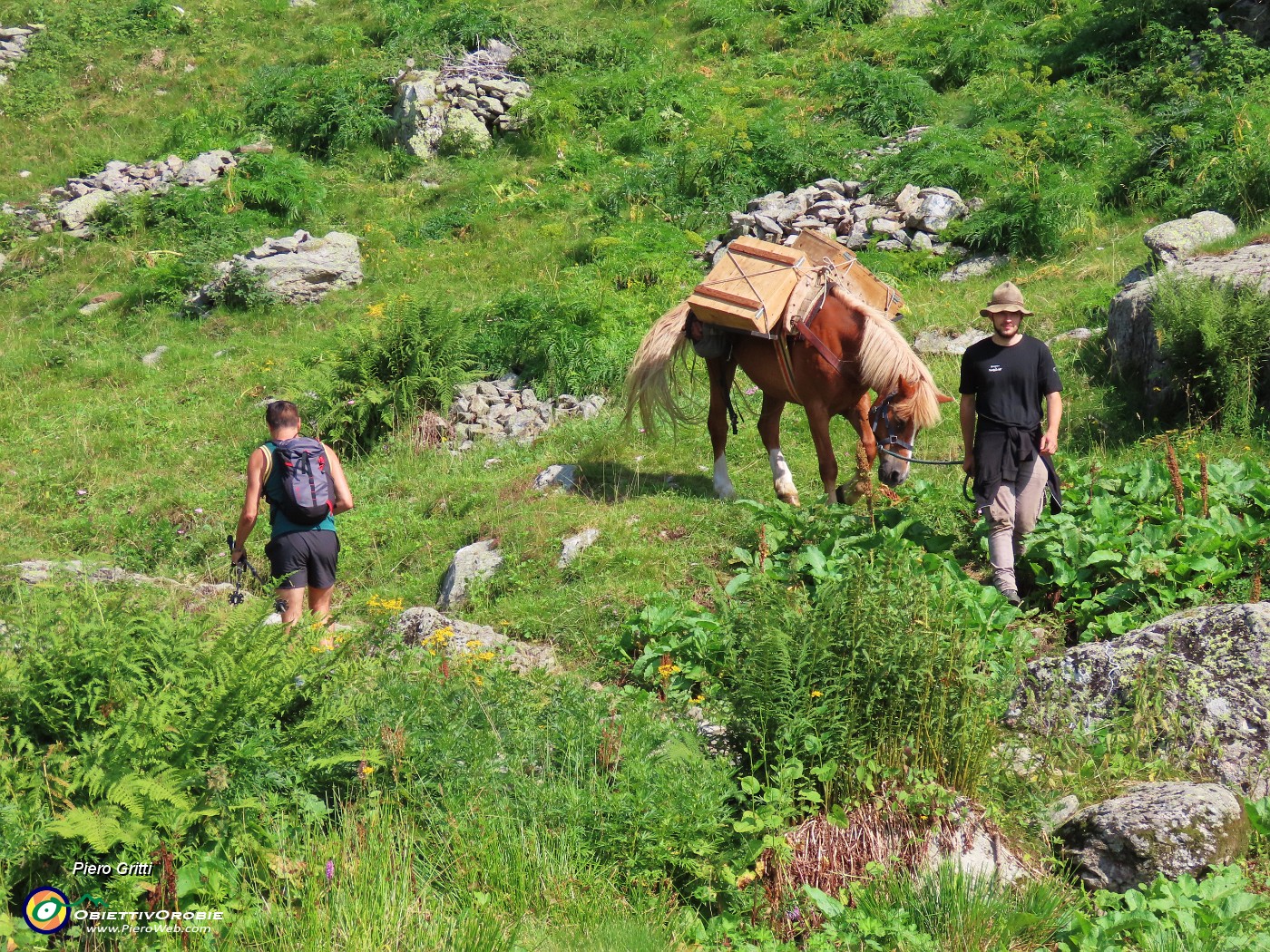 17 Trasporto a valle su cavallo dei formaggi  da Baita Predoni.JPG